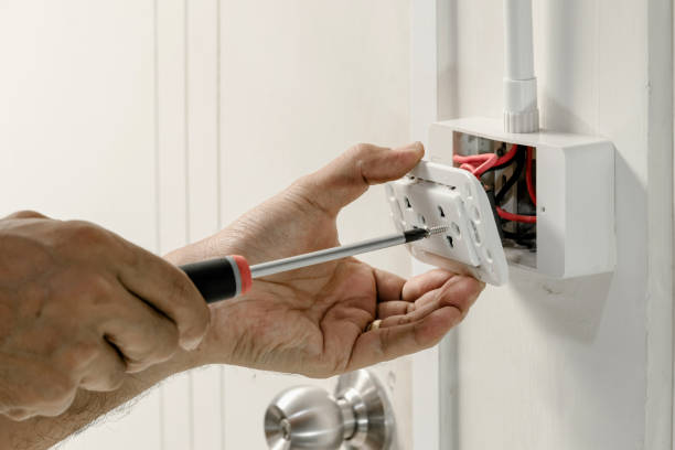 Best Electrical Panel Upgrades  in Bostonia, CA